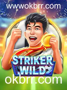 Descubra o Universo Empolgante de StrikerWILD